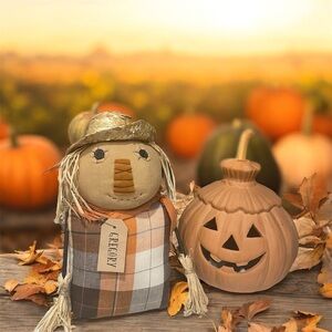 The Hearthside Collection Sand Bottom Plaid Scarecrow “Gregory” Decor